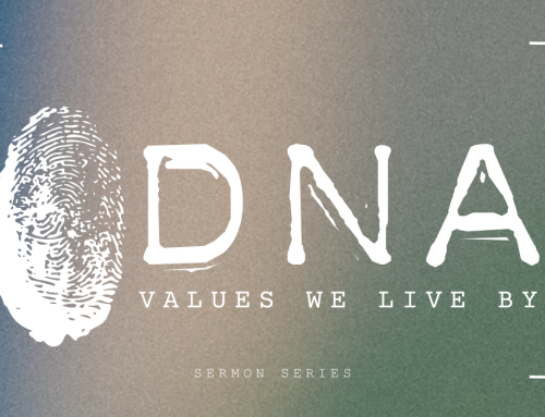 DNA – Values we live by – Spirit Empowerment